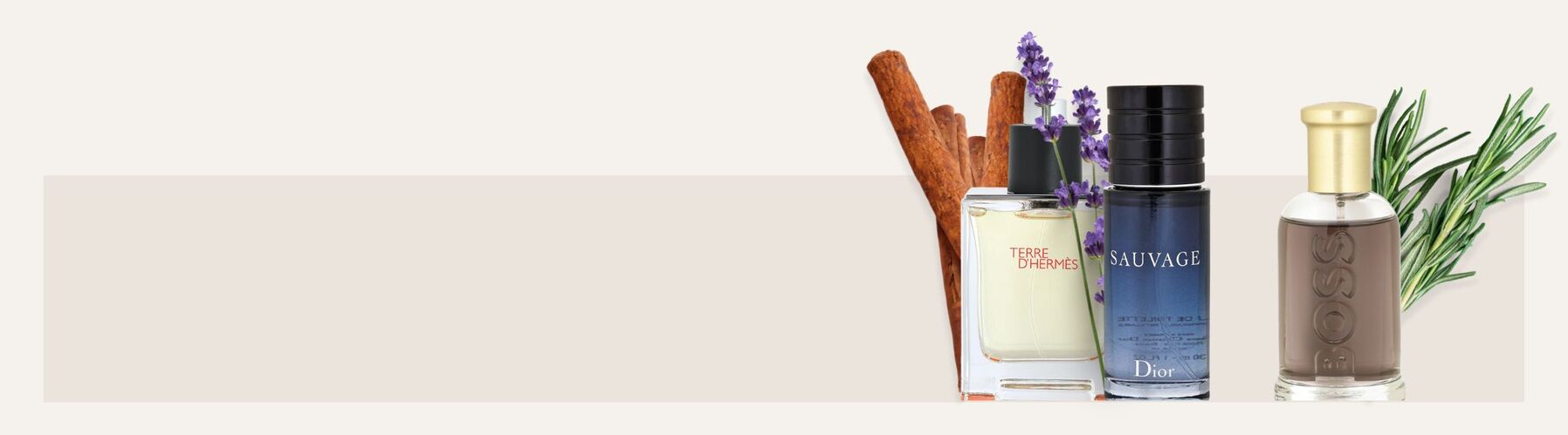 O_25-29_Parfum_Finder-Herren_wide.jpg