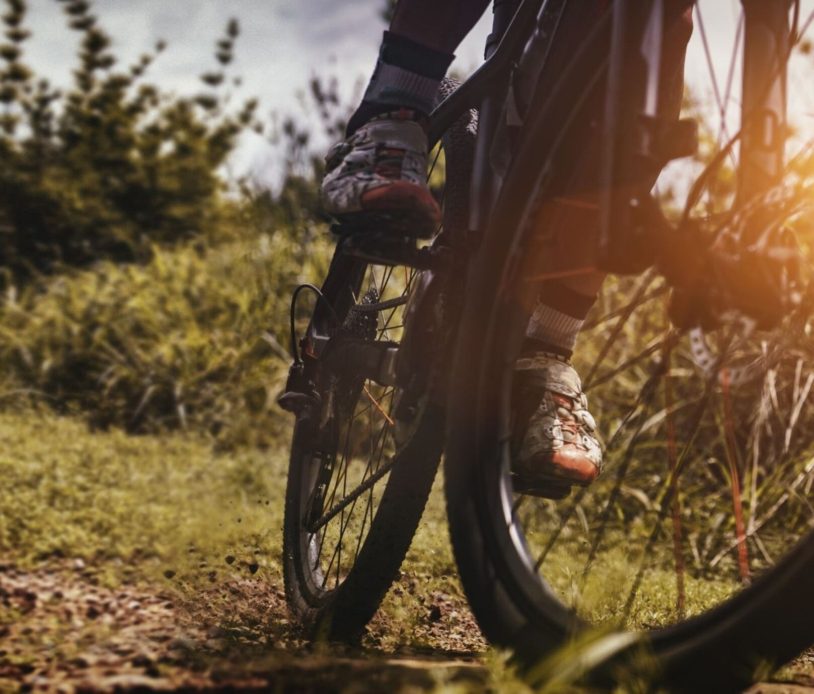 O_25_Sportwelt_Bike.jpg