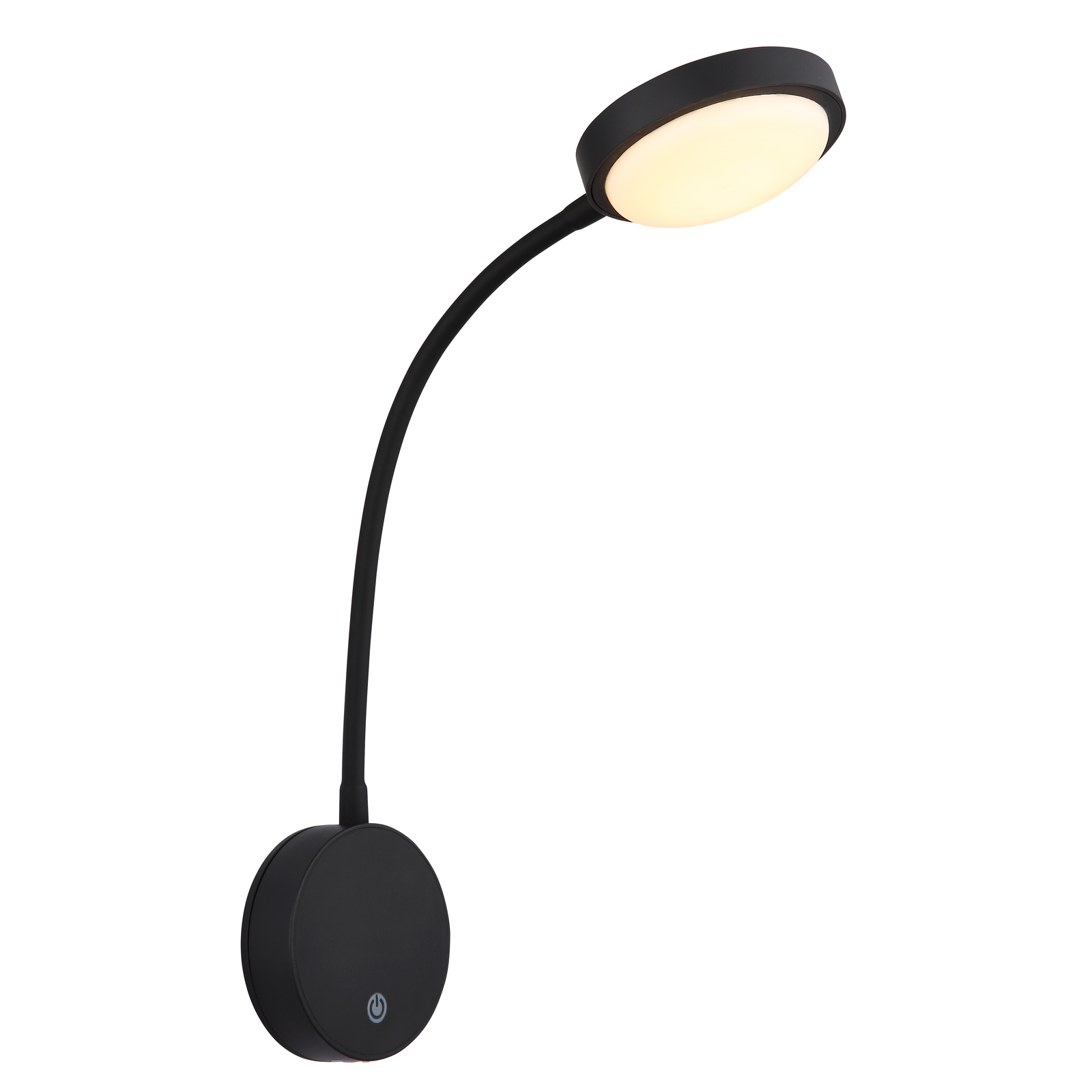 LED-Wandleuchte Pegasi